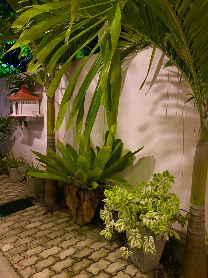 Guesthouse Bodensee Hikkaduwa Exterior foto
